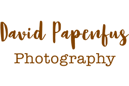 David Papenfus